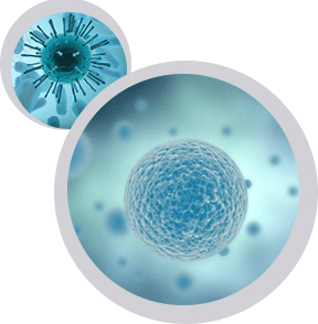 lncRNA專(zhuān)題
